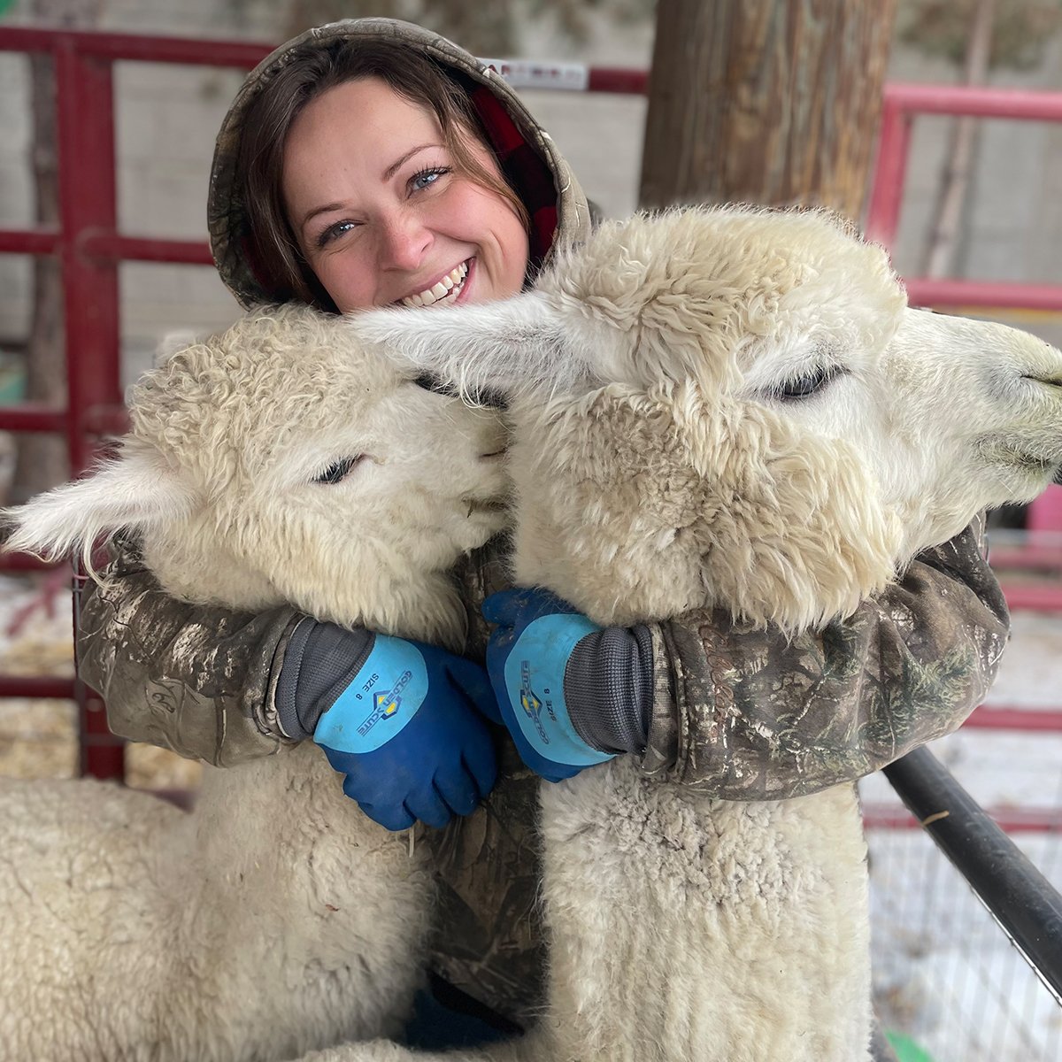 IFA_Farm Contest 25_Day1_Winners_MarieA_AmericanFork_LadyLlamas_IG