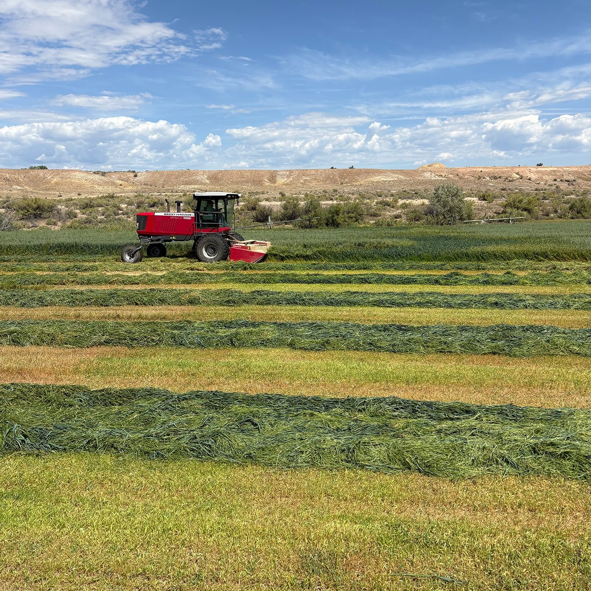 IFA_Farm Contest 25_Day1_Winners_RhondaB_Richfield_Tractor_IG