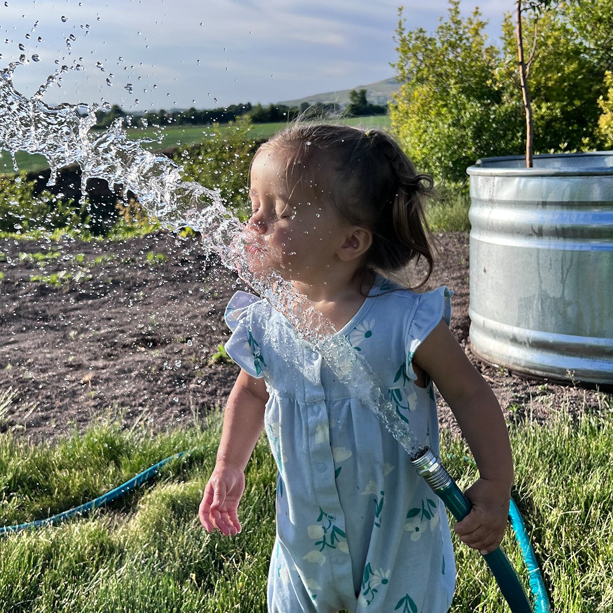 IFA_Farm Contest 25_Day2_Winners_LaceyH_Preston_Kid2_IG