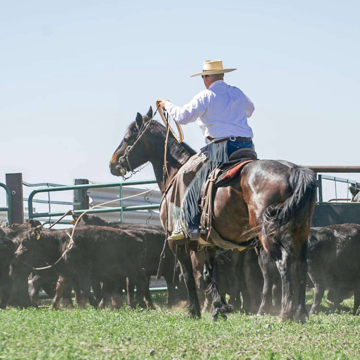 IFA_Farm Contest 25_Day4_Winners_ZackR_Logan_Cowboy3_IG