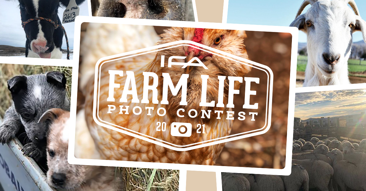 IFA_FarmLife_Contest21_web-image-main IFA_FarmLife_Contest21_web-image-main