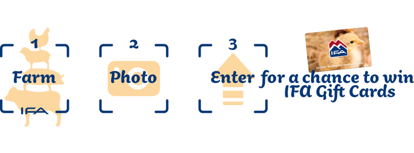 IFA_FarmLife_Contest22_web-img2-1