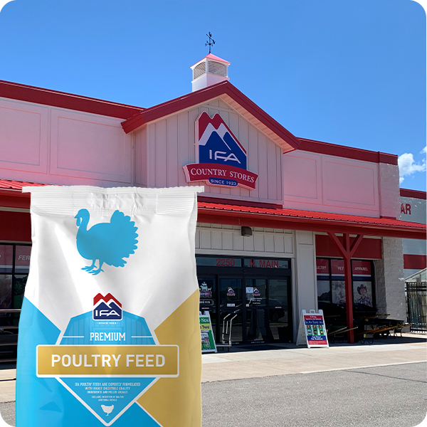 Logan IFA - Turkey Feed