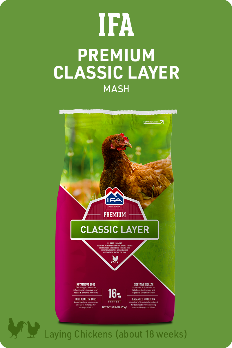 IFA_PoultryProgram_Classic-Layer_Feed_img1