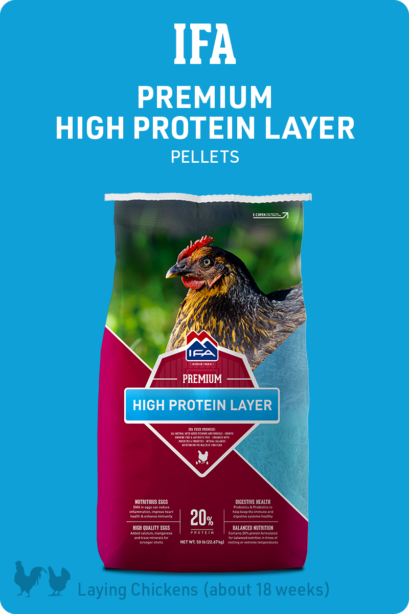 IFA_PoultryProgram_High-Protein-Layer_Feed_img1