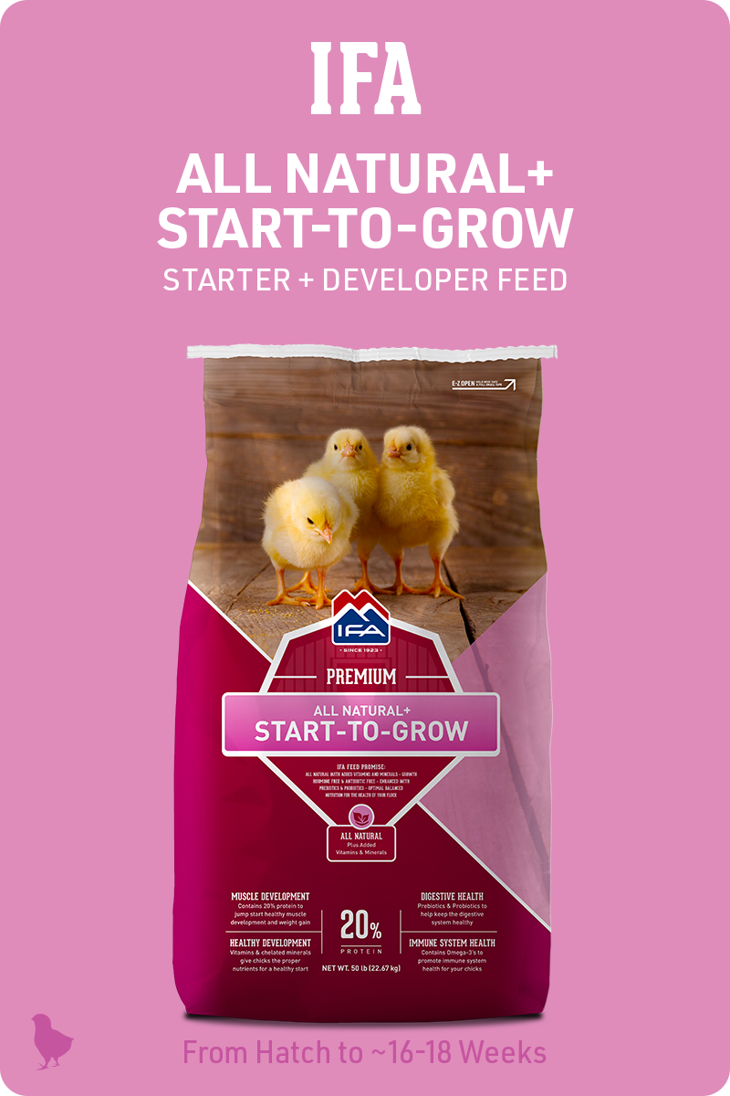 IFA_PoultryProgram_Start-To-Grow_Feed_img1