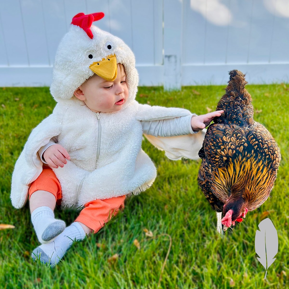 IFA_SM_03-18-26_ChickenContest25_FeatherableM_ChariJ_AmericanFork_ChickenHalloween