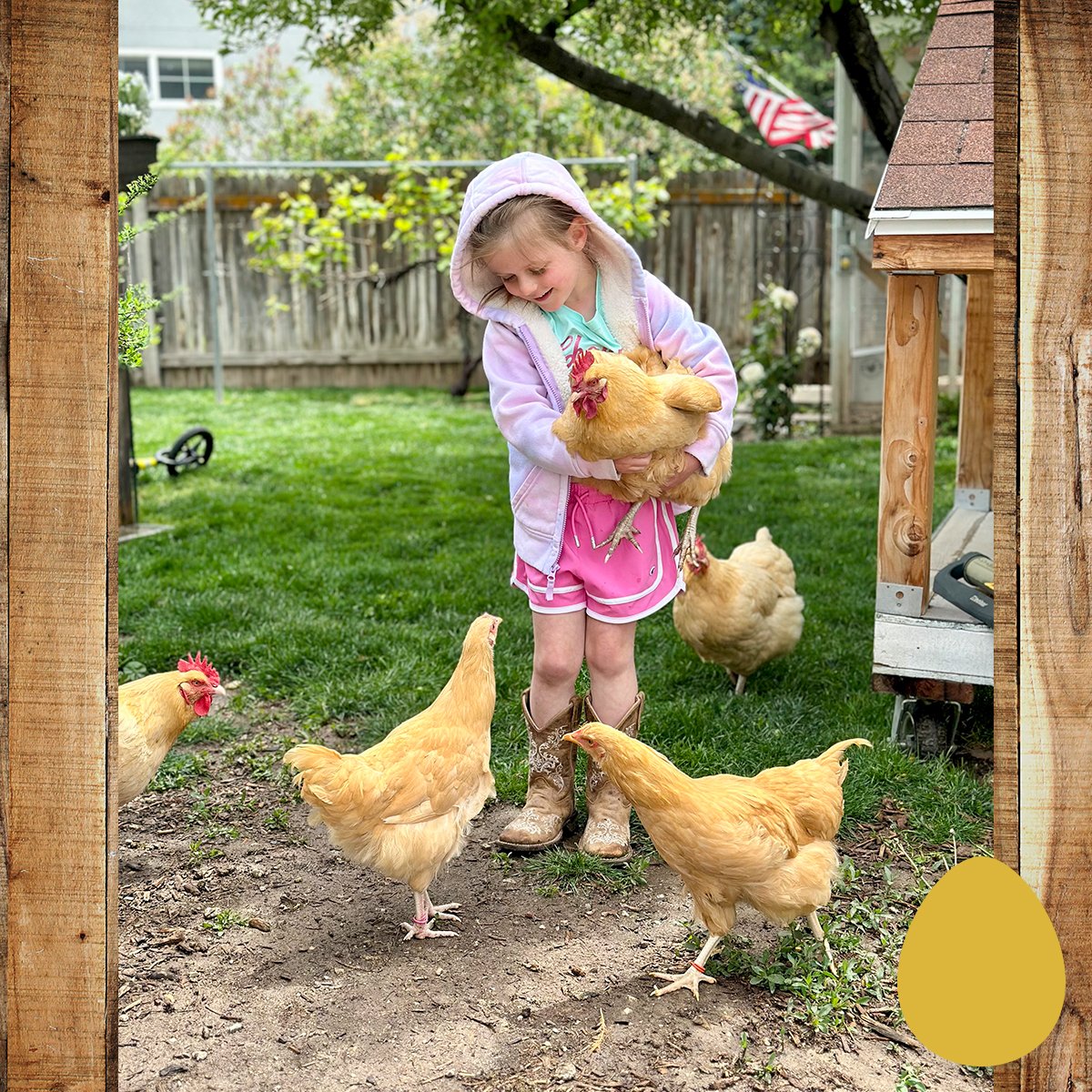 IFA_SM_03-19-26_ChickenContest25_DailyWinner_SarahP_Draper_KidChickens5