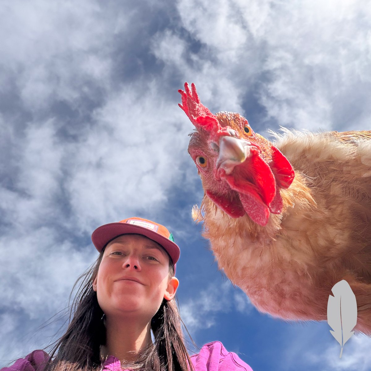 IFA_SM_03-20-26_ChickenContest25_FeatherableM_DougS_Ogden_Chicken7