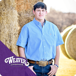 Callen Oldenburg - Weaver Guest Presenter