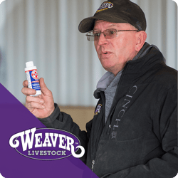 IFA_ShowClinic26_Profile_img1-Mike-Harbour IFA_ShowClinic26_Profile_img1-Mike-Harbour