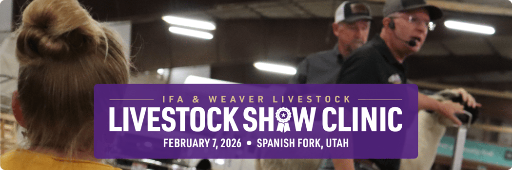 IFA_ShowClinic26_digital_img2c-wide IFA_ShowClinic26_digital_img2c-wide