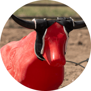 IFA_Utah-Days-of-47-rodeo-events_img1