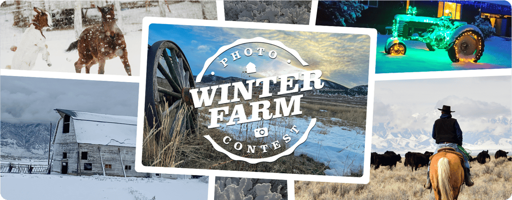 IFA_WinterFarm_Contest25_landingpg-image-v2