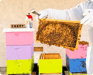 Hive Split Hive Split