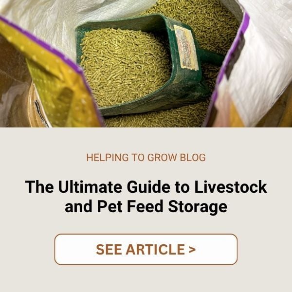 LP CTA Feed Storage Guide
