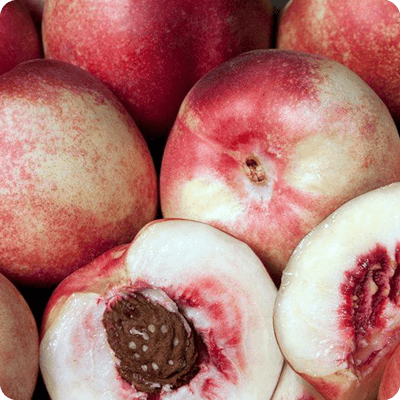 Arctic-Jay-White-Nectarine-Tree