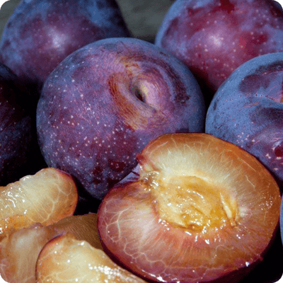 Santa Rosa Plum Tree