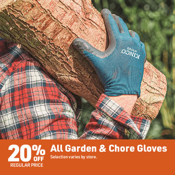 Sept 28 Landing Page Image116