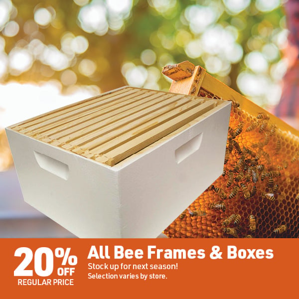 Sept 28 Landing Page Image25
