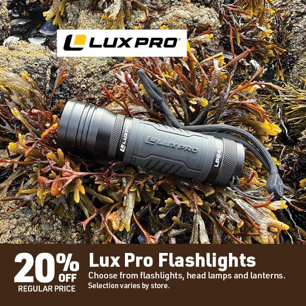Sept 28 Landing Page Image46