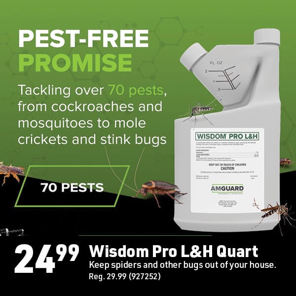 Sept 28 Landing Page Image83