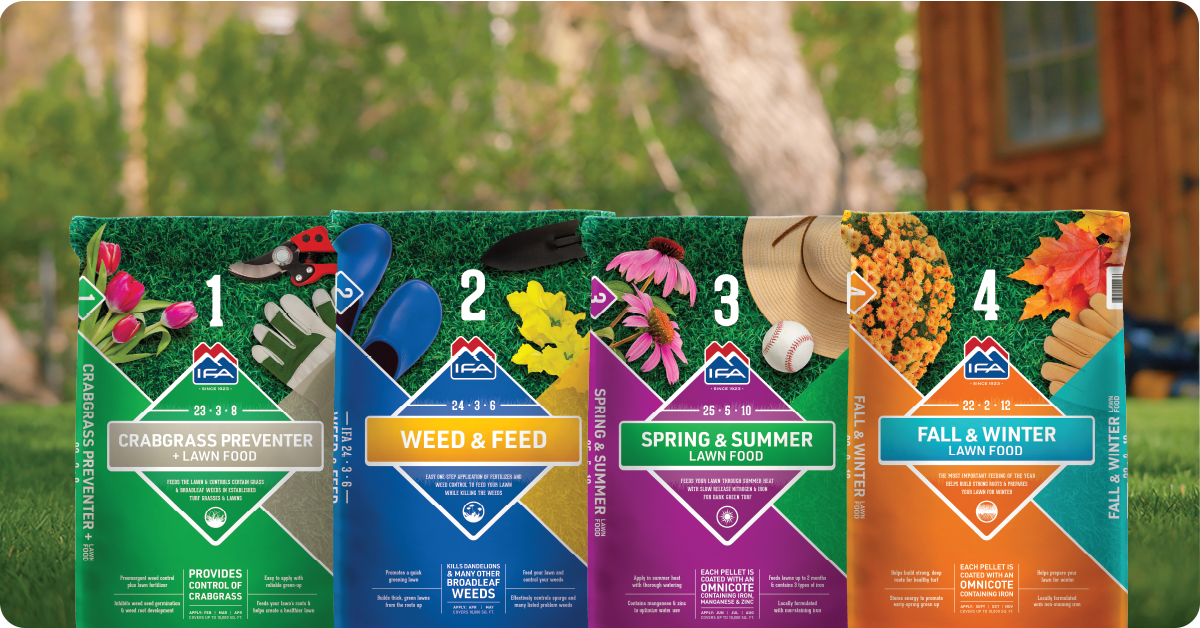 beautiful-lawn-4-easy-steps-img-rev2