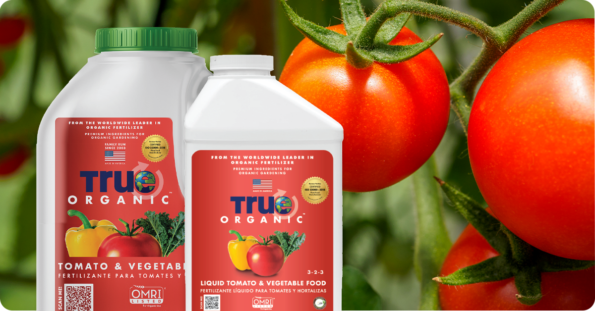best-organic-tomato-fertilizer-v1
