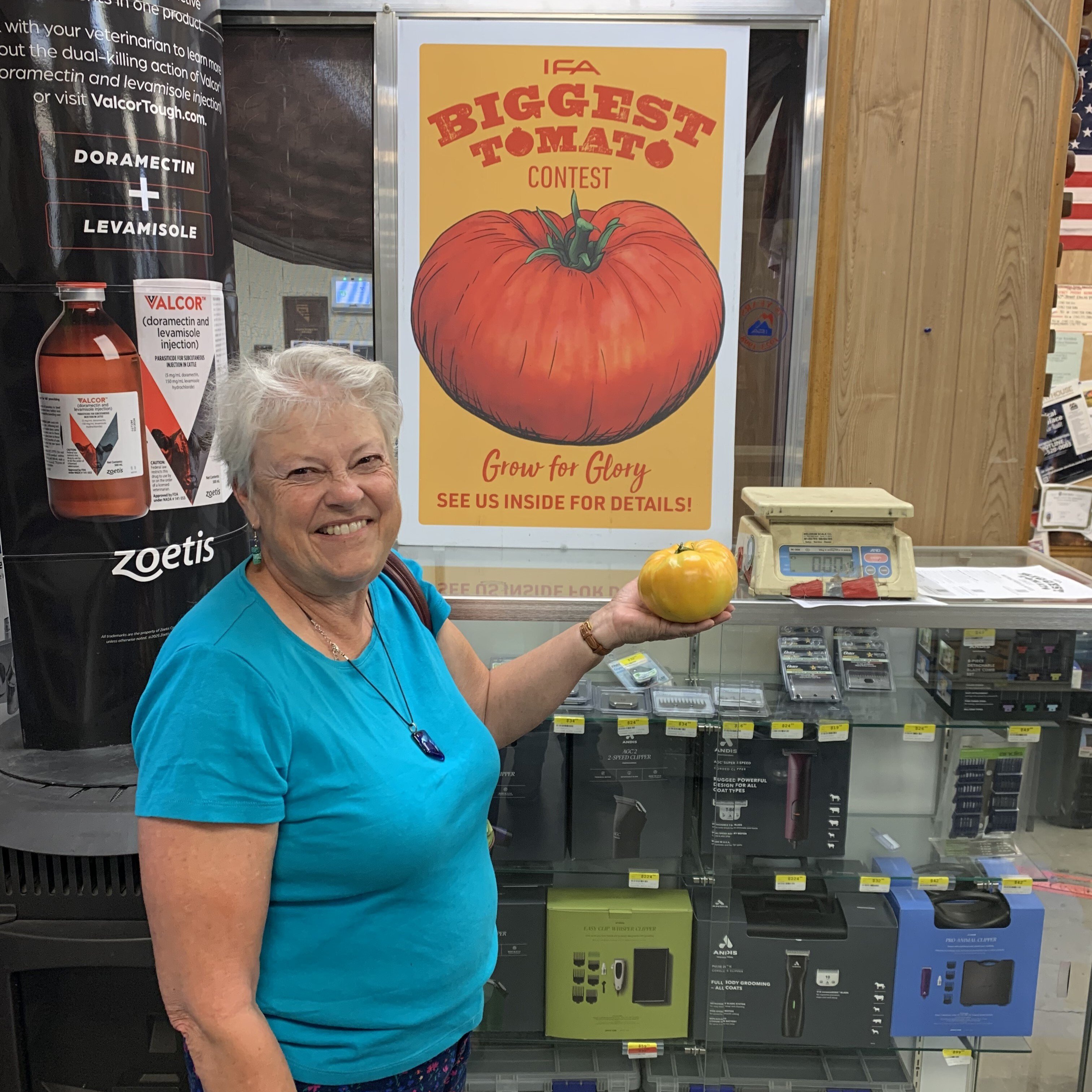 elko_leslie_lotspeich_tomato_1.1