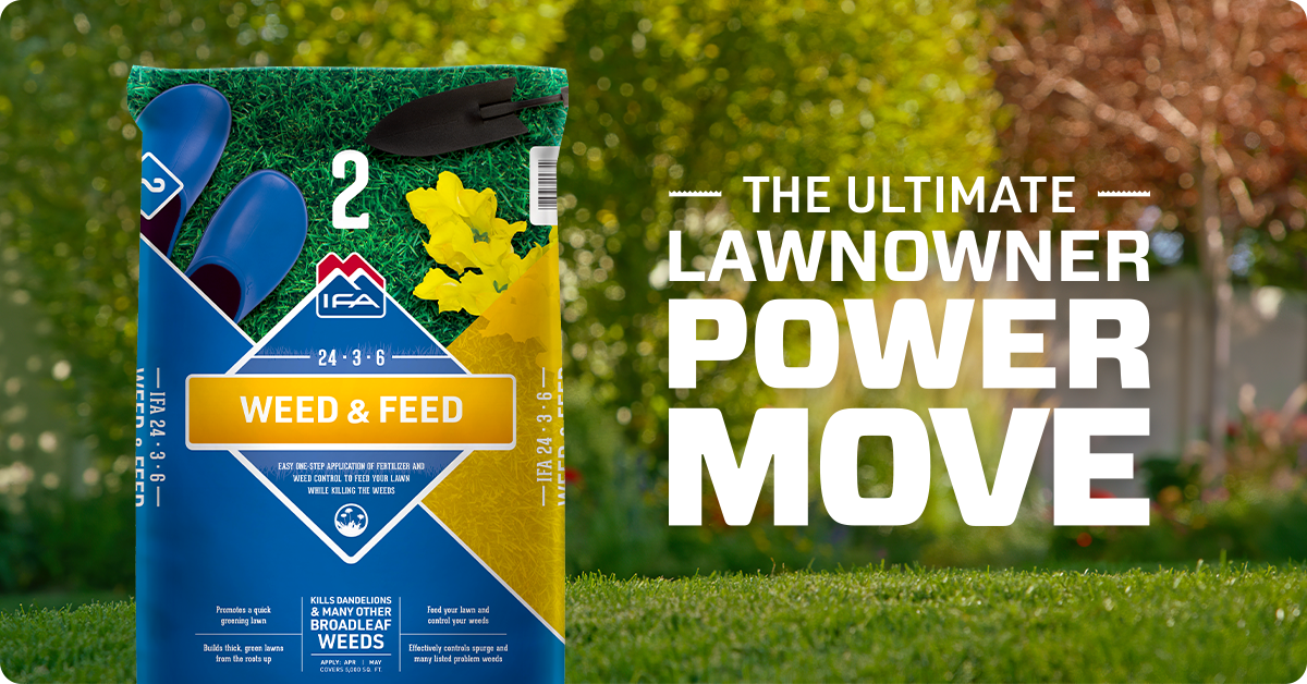 ifa-2-weed-feed-webimg1-1