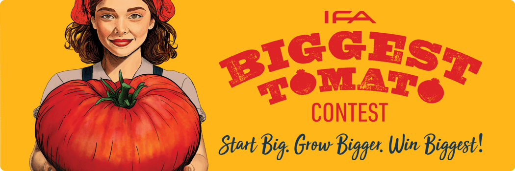 IFA Biggest Tomato Contest 