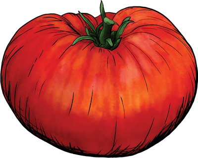 ifa_landing-page_BiggestTomato26_img4a