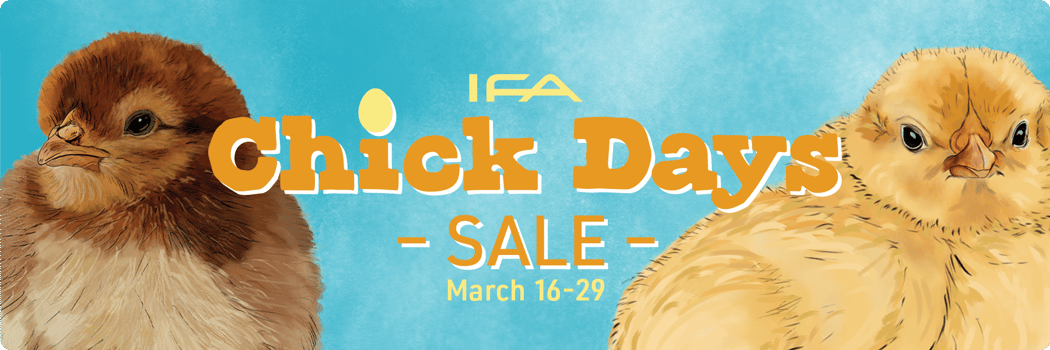 ifa_landing-page_ChickDays_2026_top-img1 ifa_landing-page_ChickDays_2026_top-img1