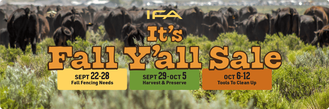 IFA Fall Sale - It's Fall Y'all