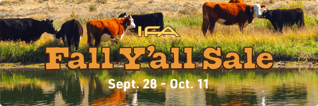 A herd of beef cattle grazing by a river bank.