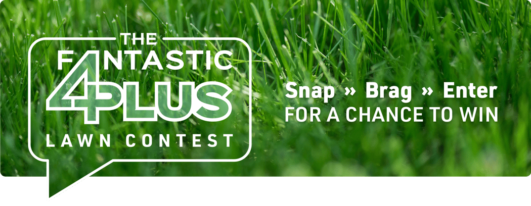 ifa_landing-page_Fantastic4Plus26_img3a