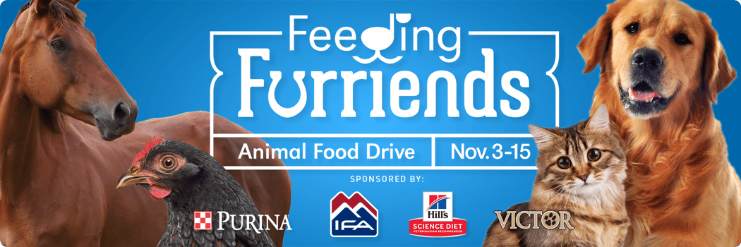 IFA Feeding Furriends Animal Food Drive IFA Feeding Furriends Animal Food Drive