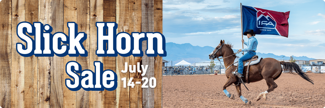 IFA Slick Horn Sale IFA Slick Horn Sale