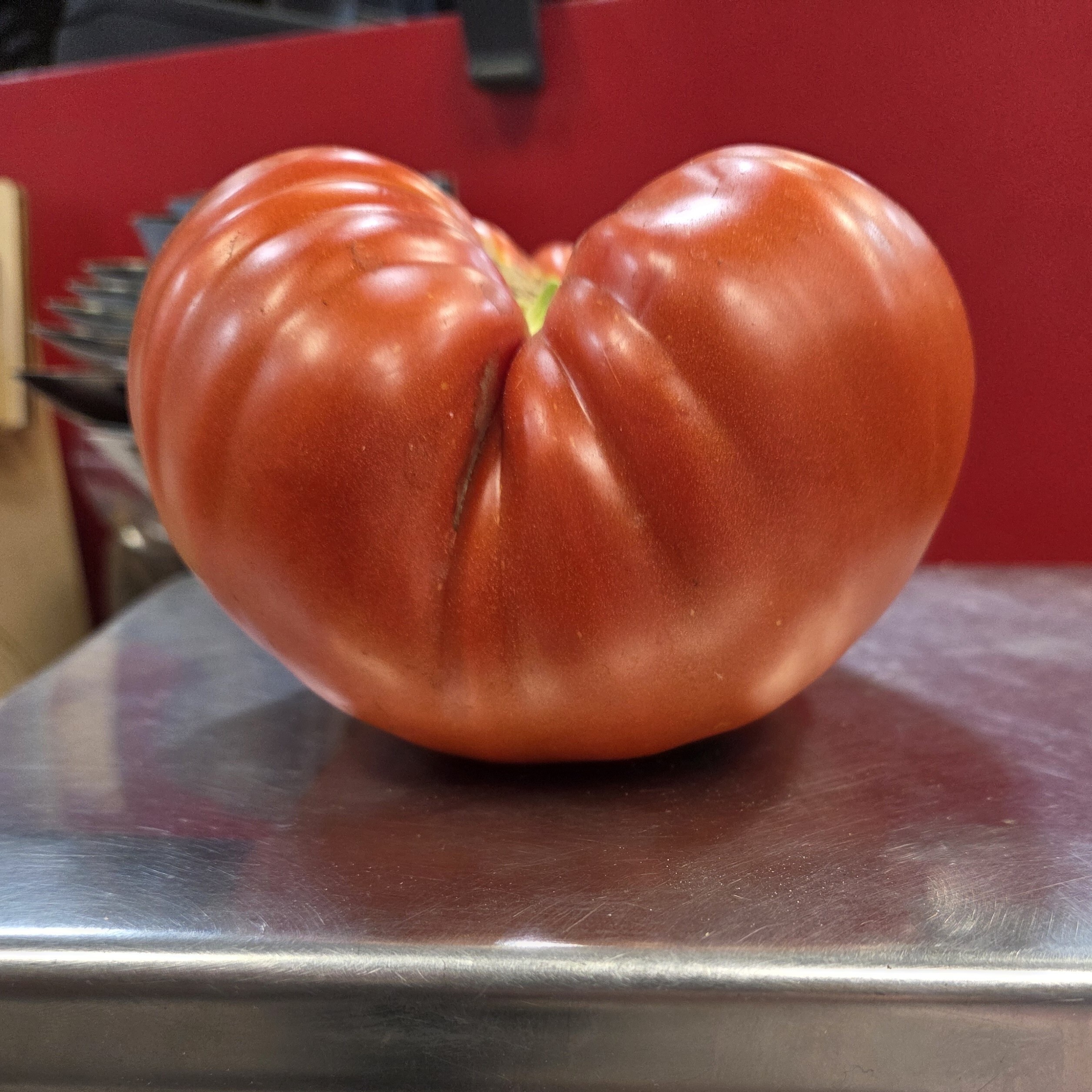 ogden_candice_blanck_tomato_1.1