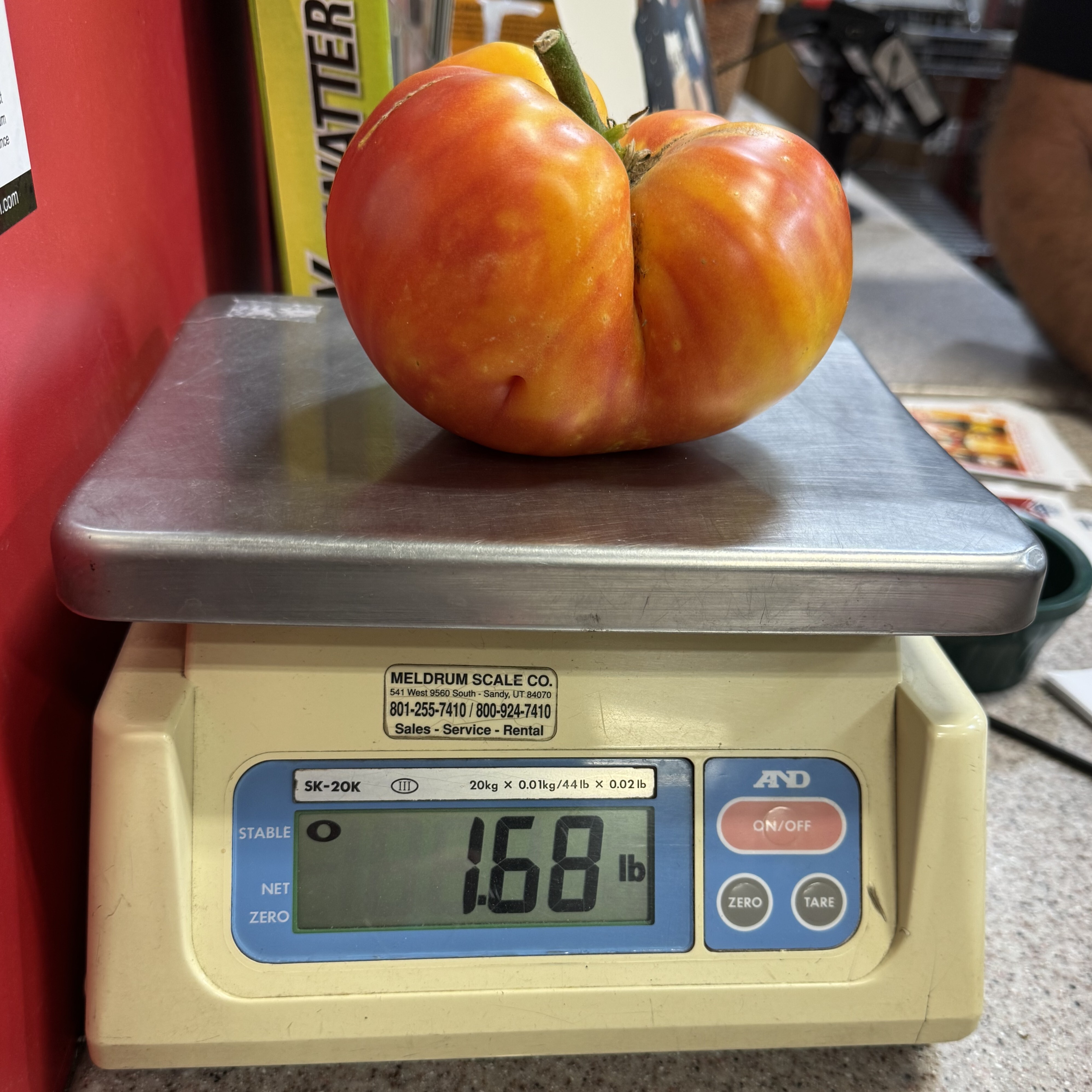 ogden_candice_blanck_tomato_2.1