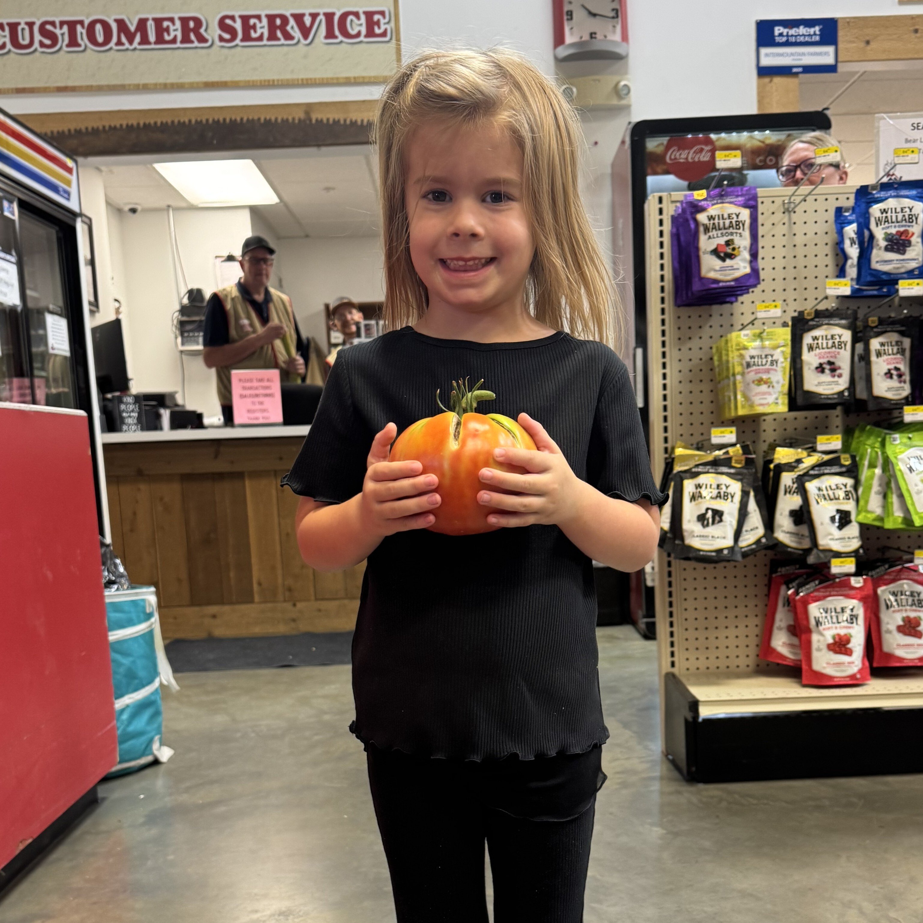 ogden_ellie_reber_tomato_1.1