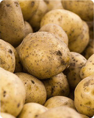 potato-varieties-img4