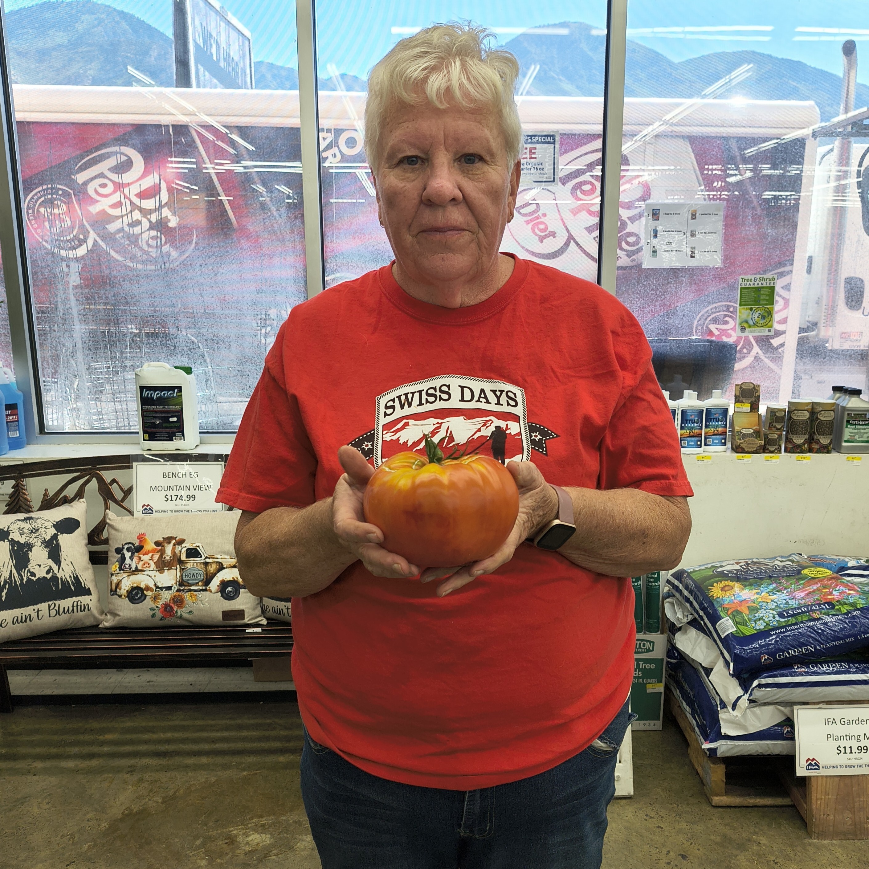 provo_gayle_young_tomato_1.1