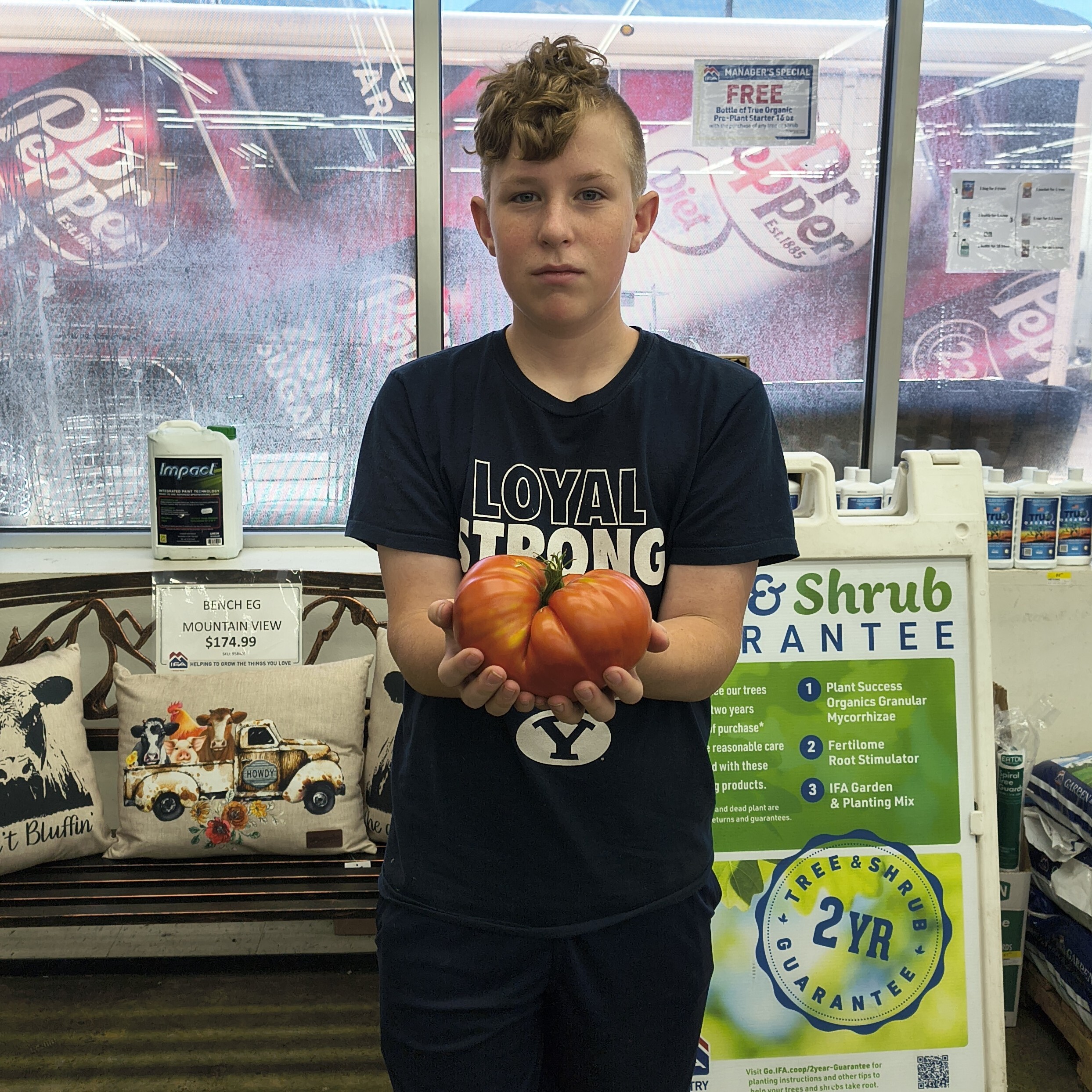 provo_tyler_edson_tomato_1.1