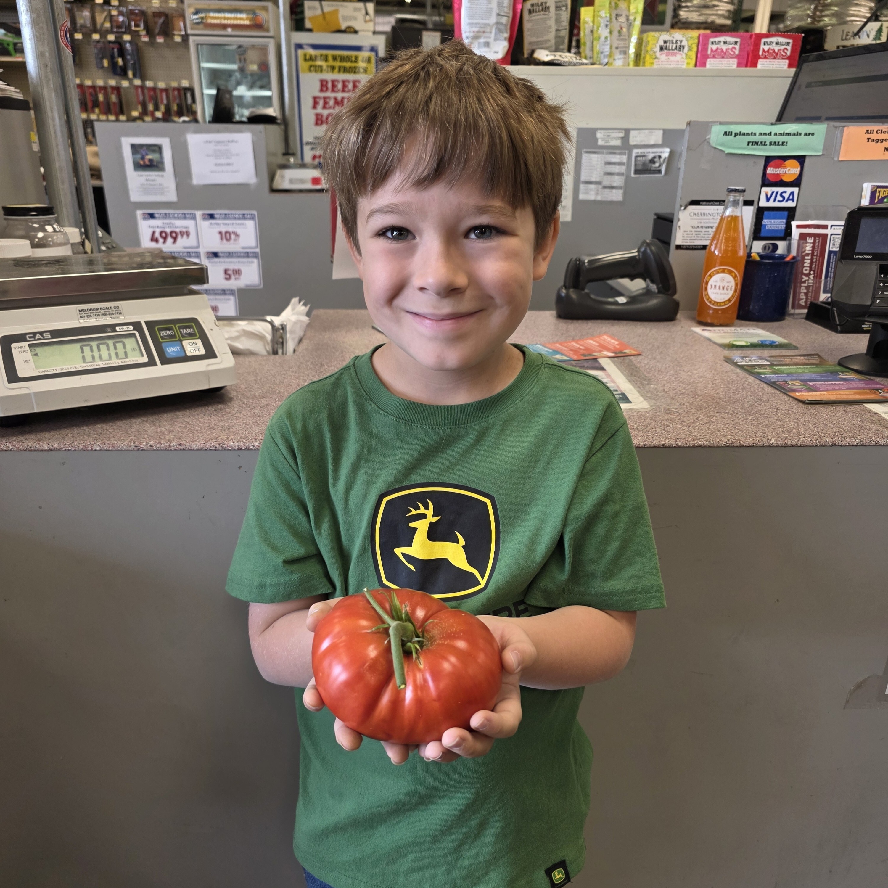 spanishfork_robert_betts_tomato_1.1