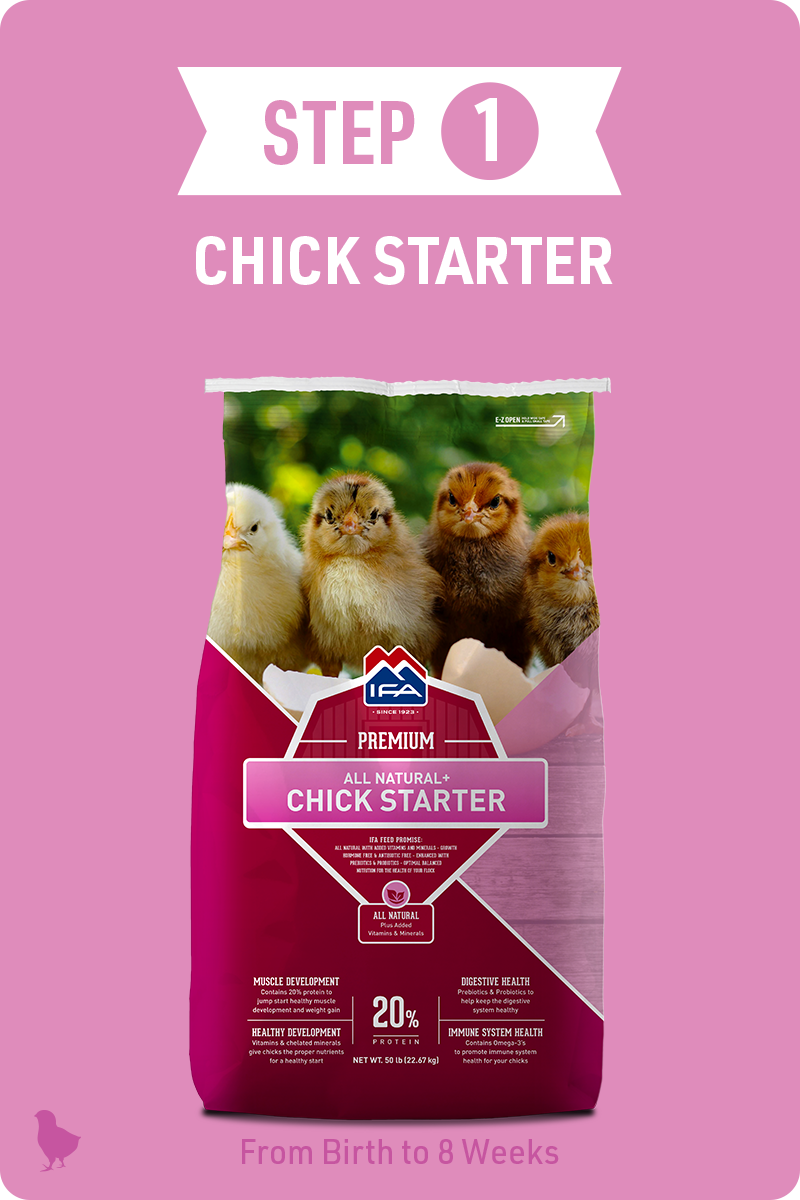 Step 1 Chick Starter