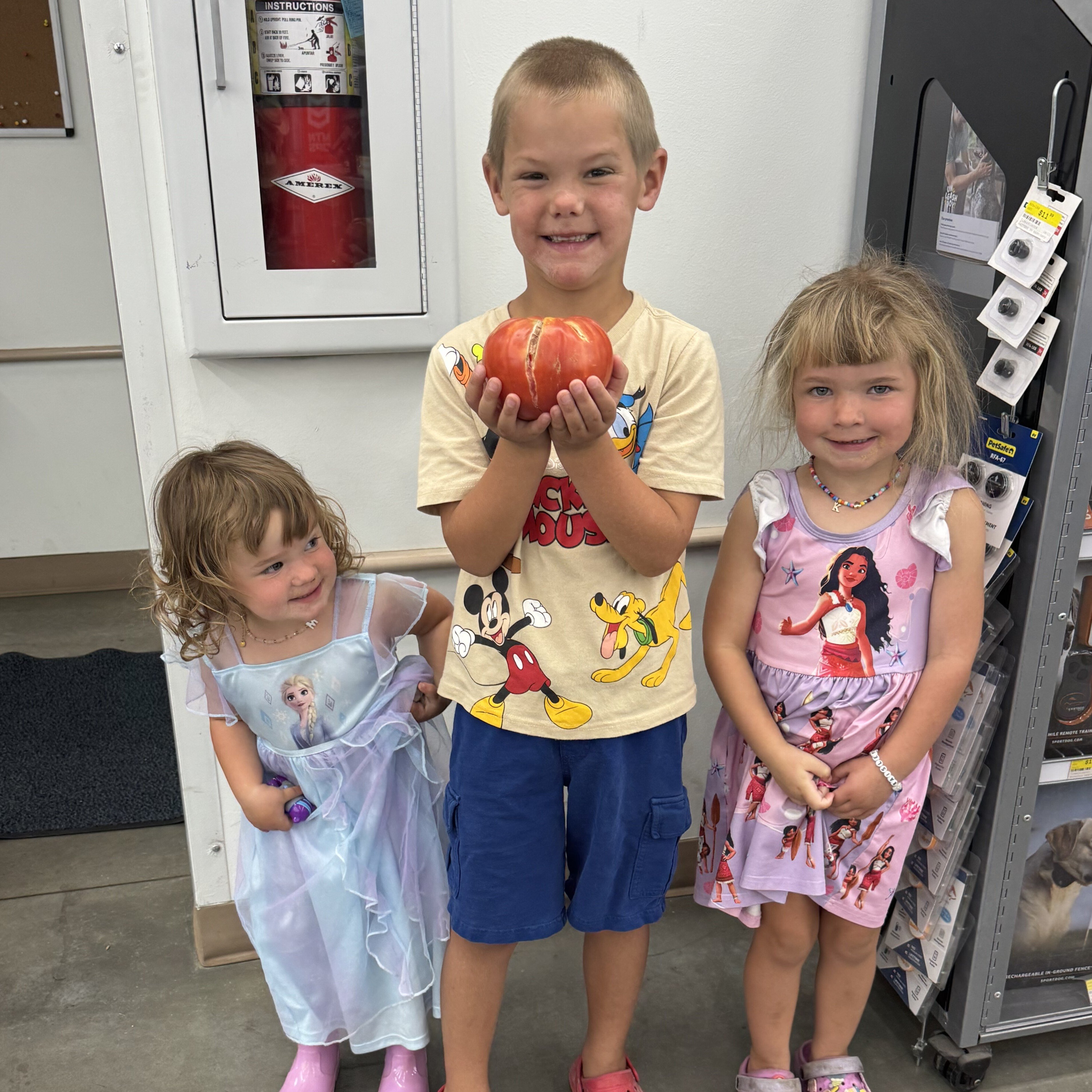 tremonton_mckay_kyzer_tomato_1.1