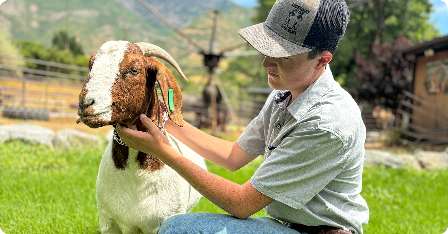 IFA_Blog_Young Producer Spotlight Gage Loveland’s Legendary Uintah Boer Goats5