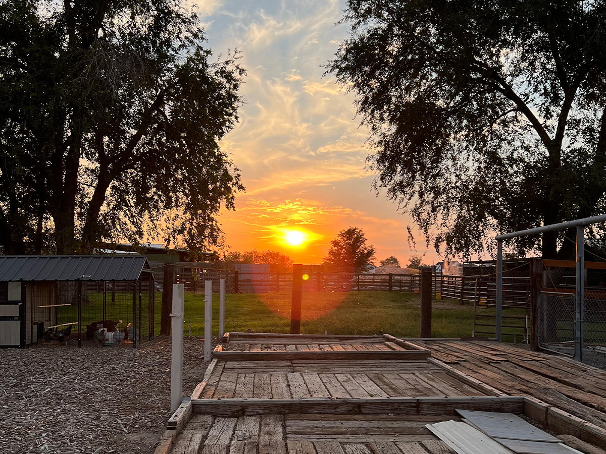 IFA Farm Life Photo Contest IFA Country Stores