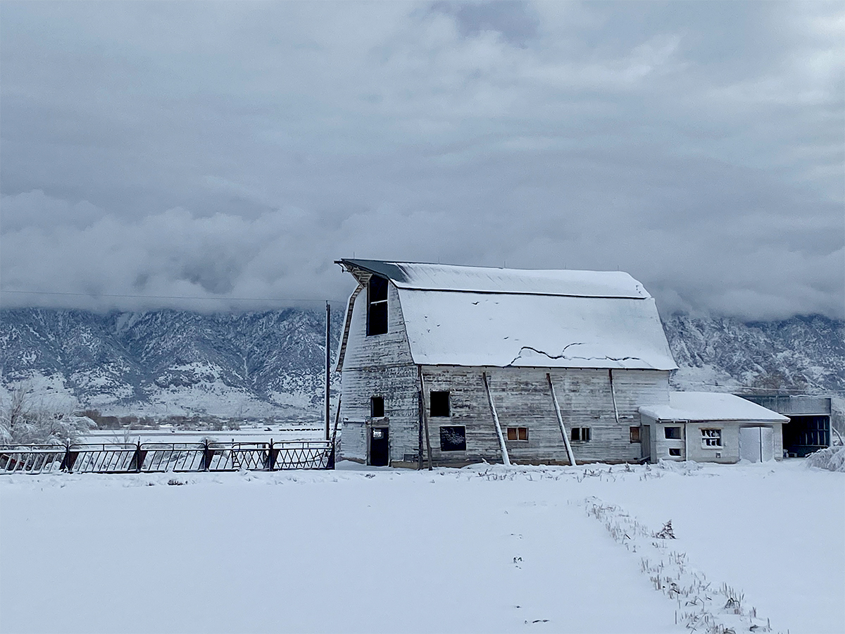 IFA Farm Life Photo Contest IFA Country Stores